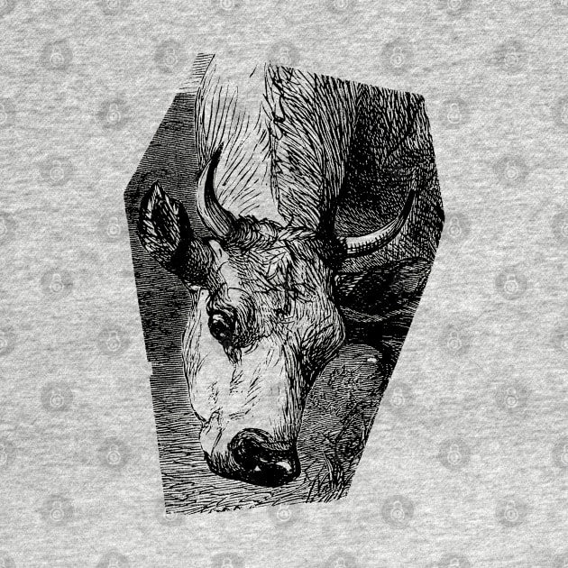 Cow Portrait Black and White Illustration by Biophilia